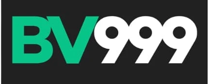 bv999win.net Logo